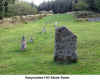 Assycombe_Stone_Rows.jpg (133563 bytes)