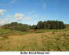 Butterbrook_Reservoir.jpg (93254 bytes)