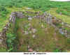 Collard_Tor_Pit.jpg (159518 bytes)