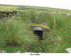 Fices_Well.jpg (189917 bytes)