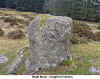 Heath_Stone.jpg (188418 bytes)