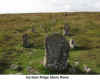 Hurston_Stone_Rows.jpg (106928 bytes)