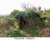 Princeps_Folly.jpg (167291 bytes)