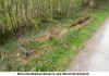 Wray_Valley_Sleepers.jpg (175207 bytes)